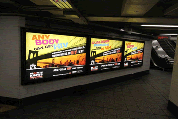Brooklyn Knows Ads
