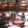 biological elements