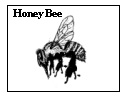 honey bee