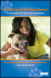 dog ownership brochure
