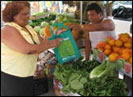 Food Vendors 