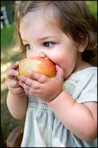 toddler eating an apple