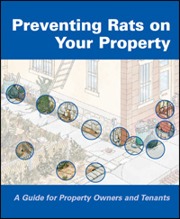 rat guide