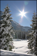 winter