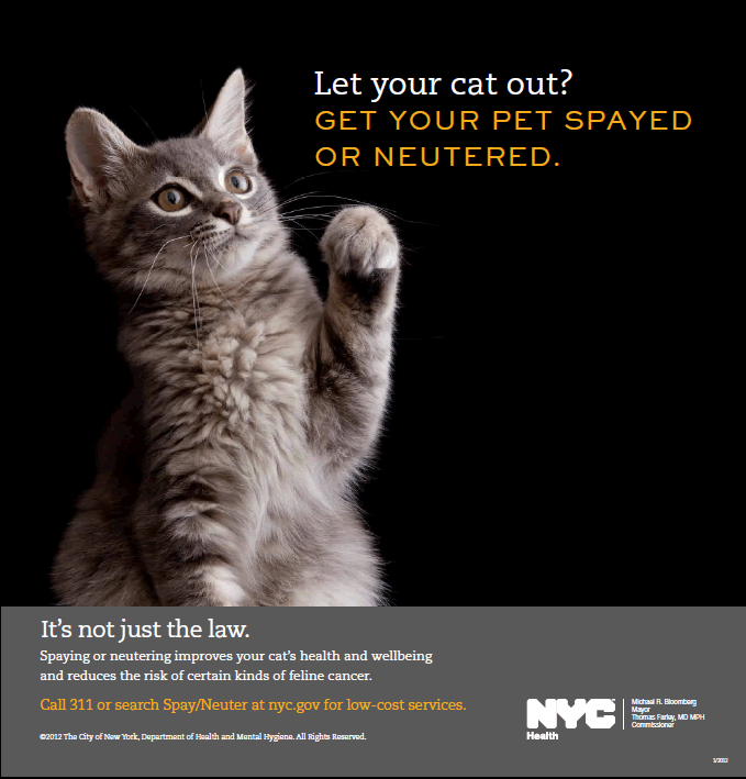 spayed cost free and low cost spay and neuter listed by us state design bild spayed cost free and low cost spay and neuter listed by us state design bild