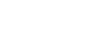  of New York Department of Investigation
