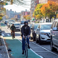 Two cyclists wearing helmets ride on a green parking-protected bike lane on a fall day.