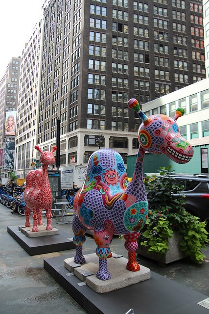 Fancy Animal Carnival Fancy Animal Carnival