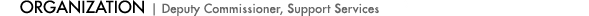 Deputy Commissioner, Support Services