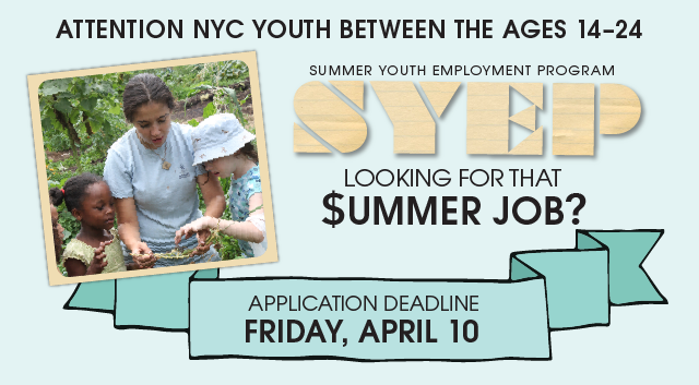 Summer Youth Employment Program