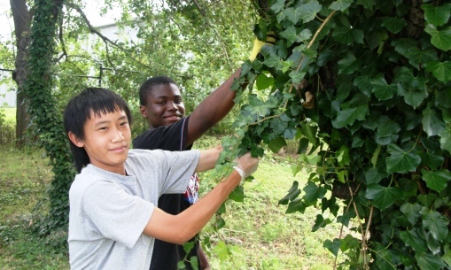 Teen ACTION Program Teen ACTION Program
