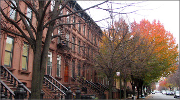 Green Ave, Bed-Stuy, Brooklyn
