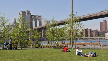 Brooklyn Bridge Park Brooklyn Bridge Park