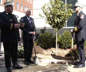Monsignor John Delendick said a prayer as Fire Commissioner Nicholas Scoppetta and Chief of Department Salvatore Cassano plant a cherry tree outside Headquarters on 9/11.