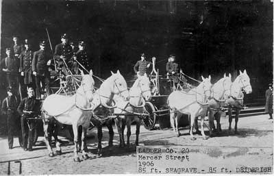 Ladder 20 with horses