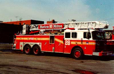 Ladder 28