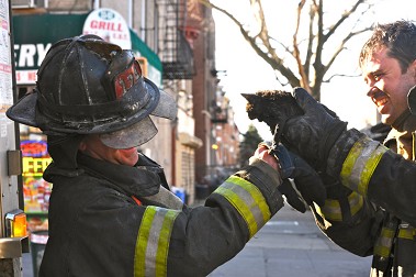 members of Ladder 174