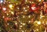 Off-Duty Firefighter Rescues Couple, Cat on Christmas