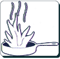 Combustible Cooking