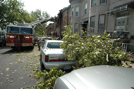 FDNY members respond to the widespread damage in Brooklyn following the storm on August 8.