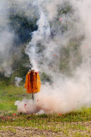 Fire marshals have confiscated nearly 330 cases of illegal fireworks this year.