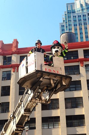 Firefighters take Hot Dog, the FDNY's fire safety mascot, up in the bucket to demonstrate the capabilities of their tower ladder.