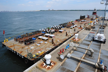More than 100 types of shells were used in the 2011 show.