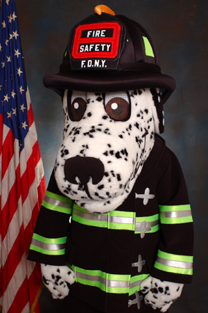 Formal portrait of HotDog.