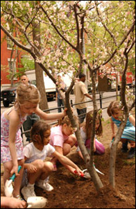 Photo of kids planting trees