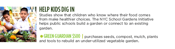 HELP KIDS DIG IN -  Studies show that children who know where their food comes from make healthier choices. The NYC School Gardens Initiative helps public schools build a garden or connect to an existing garden. GREEN GUARDIAN $500 | purchases seeds, compost, mulch, plants and tools to rebuild an under-utilized vegetable garden.