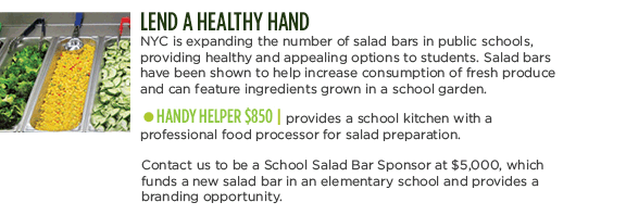 LEND A HEALTHY HAND -  NYC is expanding the number of salad bars in public schools, providing healthy and appealing options to students. Salad bars have been shown to help increase consumption of fresh produce and can feature ingredients grown in a school garden. HANDY HELPER $850 | provides a school kitchen with a professional food processor for salad preparation. Contact us to be a School Salad Bar Sponsor at $5,000, which funds a new salad bar in an elementary school and provides a branding opportunity.