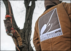 MillionTrees training
