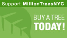 Support MillionTreesNYC Buy a Tree Today!