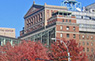 Ten Bellevue Doctors Named Among the Best