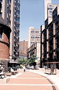 Roosevelt Island Photo