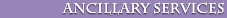 Ancillary Services