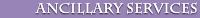 Ancillary Services