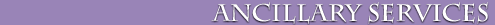 Ancillary Services