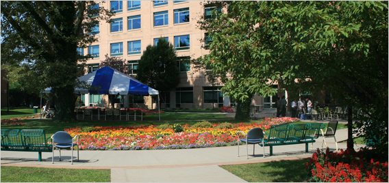 dr susan smith mckinney nursing and rehabilitation center