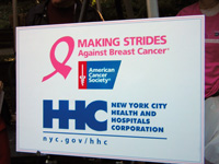 Making Strides sign