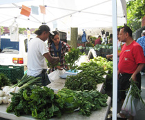 Mimomex Farms