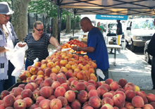 Shoppers select fresh fruit at the Metropolitan Hospital farmers market. Shoppers select fresh fruit at the Metropolitan Hospital farmers market.