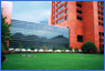 Medical Specialties
