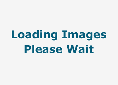 Loading images, please wait