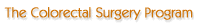 The Colorectal Surgery Program