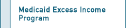 Medicaid Excess Income Program
