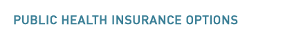 Public Health Insurance Options