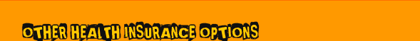 Other Health Insurance Options