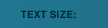 Text Size