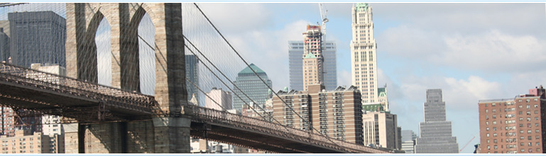 Web site of Brooklyn Public Administrator